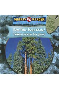 How Pine Trees Grow / Cómo Crecen Los Pinos