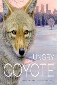 Hungry Coyote