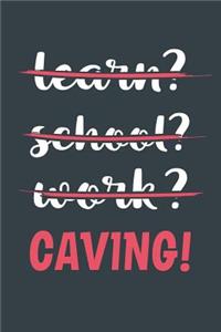 Learn? School? Work? Caving!