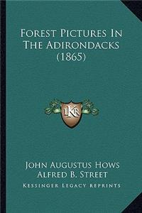 Forest Pictures In The Adirondacks (1865)