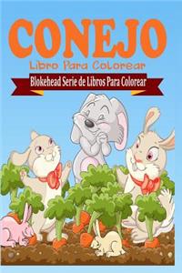 Conejo Libro Para Colorear