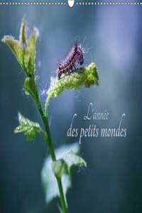 L'Annee Des Petits Mondes 2017