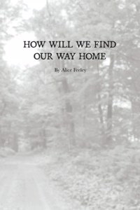 How Will We Find Our Way Home