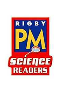 You See with Your Eyes