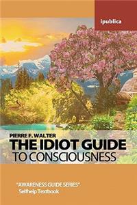 Idiot Guide to Consciousness