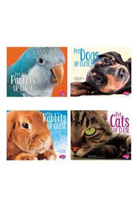 Pets Up Close