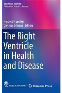 Right Ventricle in Health and Disease
