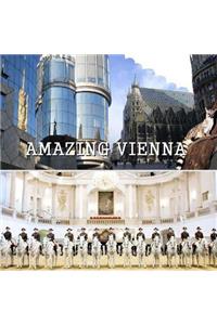 Amazing Vienna