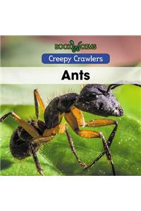 Ants