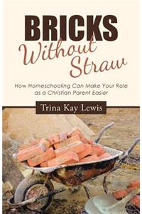 Bricks Without Straw