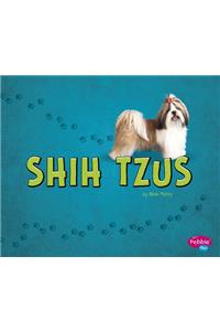 Shih Tzus