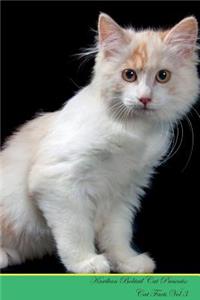 Kurilian Bobtail Cat Presents