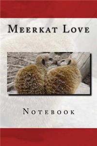 Meerkat Love