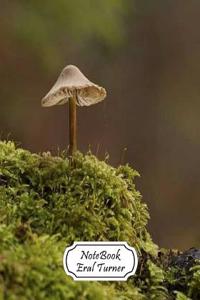 Notebook Wild Mushroom
