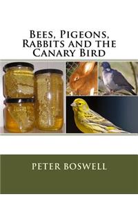 Bees, Pigeons, Rabbits and the Canary Bird