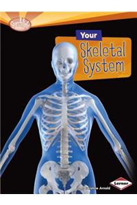 Your Skeletal System