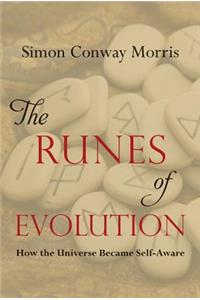 The Runes of Evolution