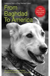 From Baghdad to America