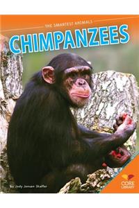 Chimpanzees