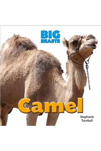 Camel