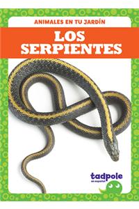 Las Serpientes (Snakes)