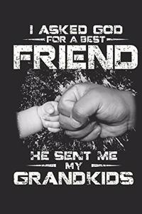 I asked god for a best friend he sent me my grandkids