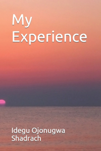 My Experience