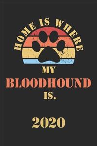 Bloodhound 2020