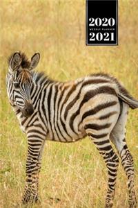 Zabra Safari Africa Savannah Week Planner Weekly Organizer Calendar 2020 / 2021 - Baby on Meadow