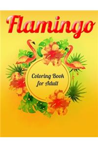 Flamingo Coloring Book for Adult