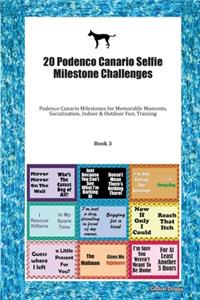 20 Podenco Canario Selfie Milestone Challenges
