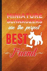 Miniature Schnauzers Are the Perfect Best Friend