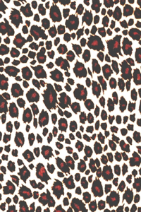 2021 Leopard Diary