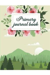 Primary journal book