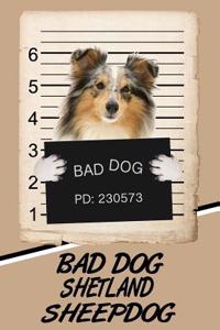Bad Dog Shetland Sheepdog