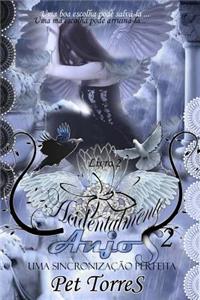 Acidentalmente Anjos 2