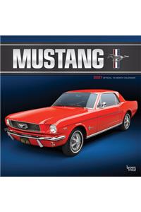 Mustang 2021 Square Foil