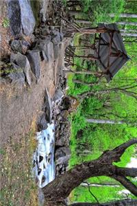 Wood Pedestrian Covered Bridge in the Forest Journal