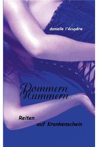 PommernNummern