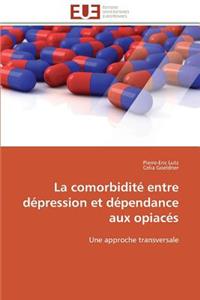 La Comorbidité Entre Dépression Et Dépendance Aux Opiacés