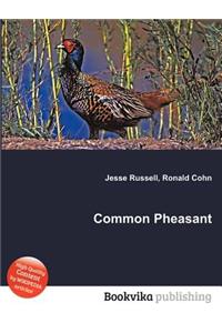 Common Pheasant