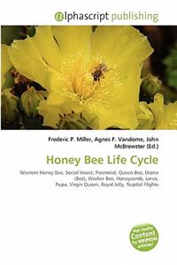 Honey Bee Life Cycle