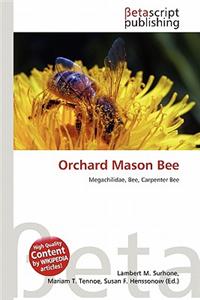 Orchard Mason Bee