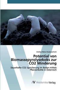 Potential von Biomassepyrolysekoks zur CO2 Minderung