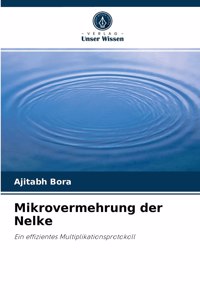 Mikrovermehrung der Nelke