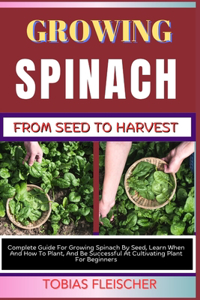 Growing Spinach from Seed to Harvest