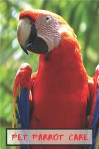 Pet Parrot Care