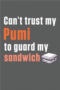 Can't trust my Pumi to guard my sandwich
