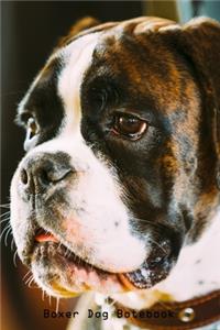 Boxer Dog Notebook