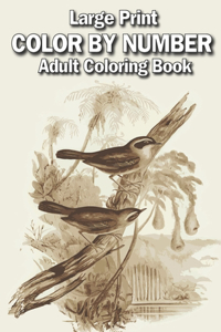 large print color by number adult coloring book